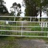 Original road to Belgenny Farm, Camden